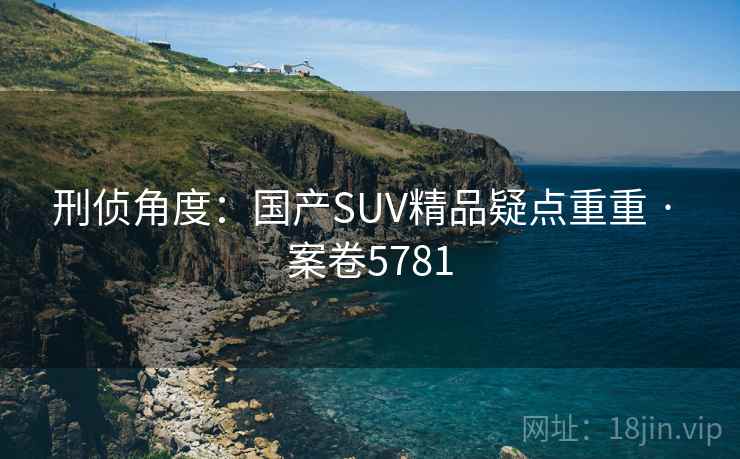 刑侦角度：国产SUV精品疑点重重 · 案卷5781