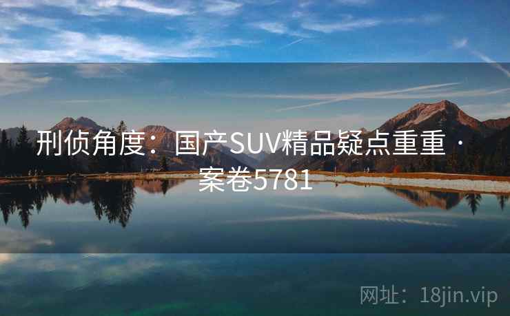 刑侦角度：国产SUV精品疑点重重 · 案卷5781