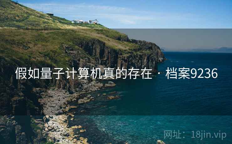 假如量子计算机真的存在 · 档案9236